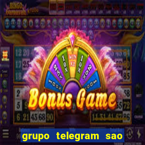 grupo telegram sao jose do rio preto