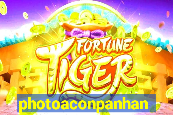 photoaconpanhante