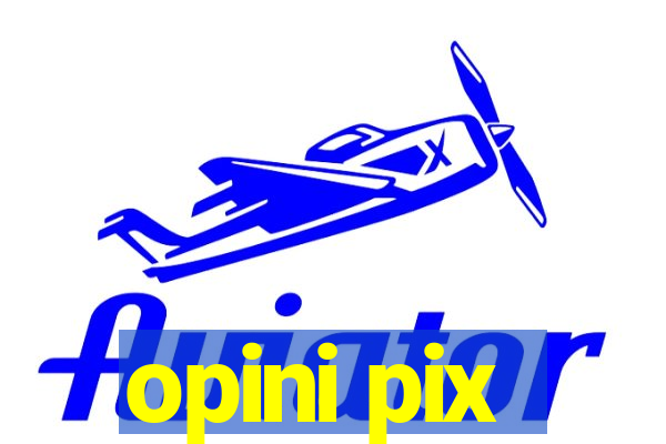 opini pix