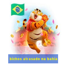 bichos atrasado na bahia