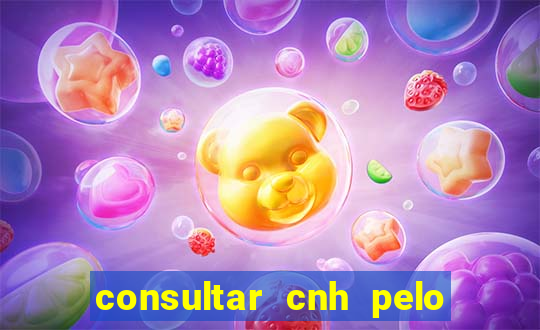 consultar cnh pelo cpf sp