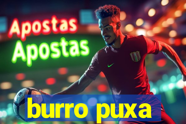 burro puxa