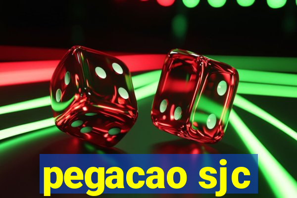 pegacao sjc