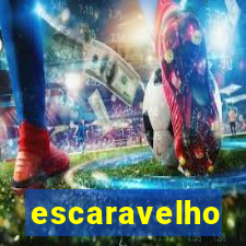 escaravelho significado espiritual