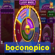 boconopico