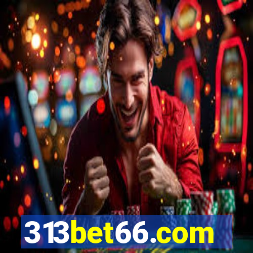 313bet66.com