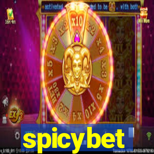 spicybet-4.com