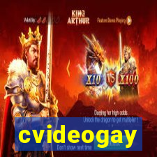 cvideogay