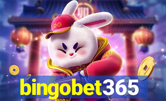 bingobet365