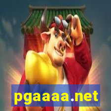 pgaaaa.net